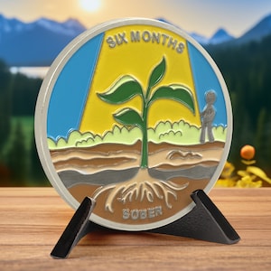 6 Month Sobriety Coin - AA Chip (1-12 Months) - AA Medallion and Prayer in Recovery - Alcoholics Anonymous Monthly Celebrate Gift