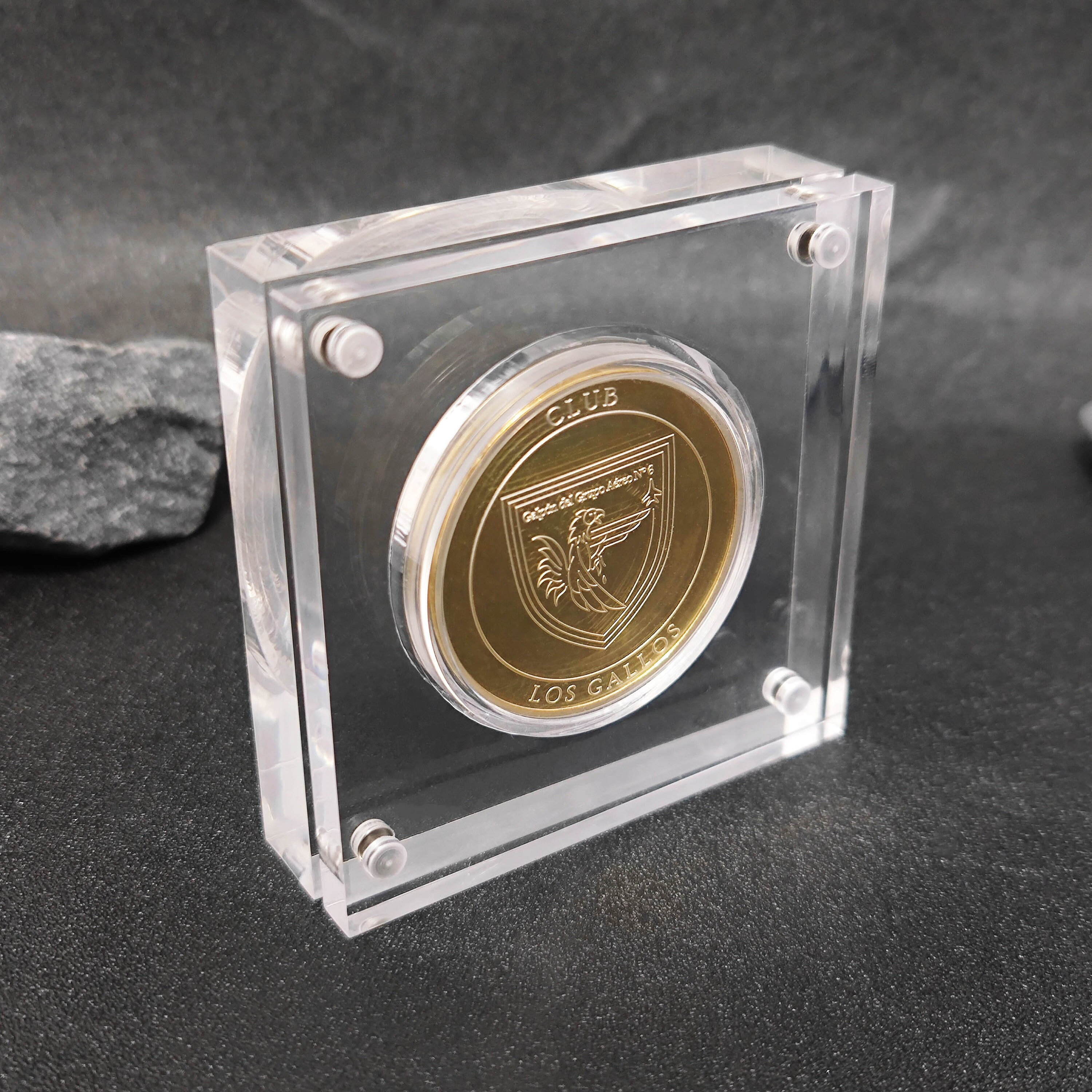 Coin Display Case 