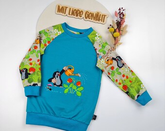 Sweater | Gr. 104 | Pullover | Sweatshirt | Junge | Mädchen | Unisex | Kinder | kleiner Maulwurf Pauli