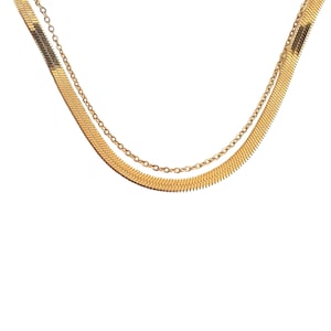 Double layered Gold Necklace