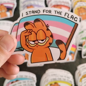 3 inch "I stand for the flag" Cat Sticker LGBTQIA Trans Intersex Non-binary Lesbian Genderqueer MLM Aromantic Bisexual Pansexual Aroace