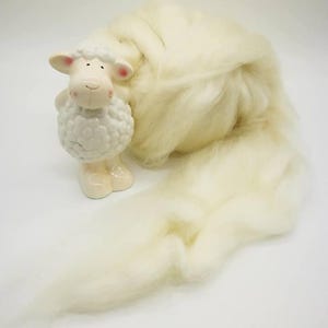 Kid Mohair Combed Top 100g