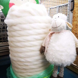 Gekaarde sliver scheerwol (melkschaap) + Lyocell 100g*