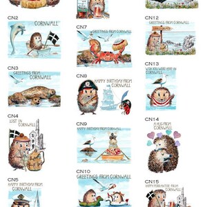 Saudações do condado de CORNWALL, um catálogo de designs da Skillipig, Cornish, Reino Unido. A compra é referente ao design de cartão que você precisa. Nº CORNWALL