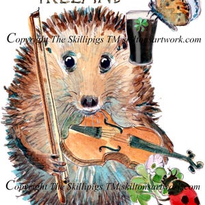 May include: A whimsical watercolour illustration featuring a hedgehog playing a violin, with a pint of stout and a butterfly. The image includes the text "HAPPY BIRTHDAY FROM IRELAND". A ladybug and shamrocks are also present.