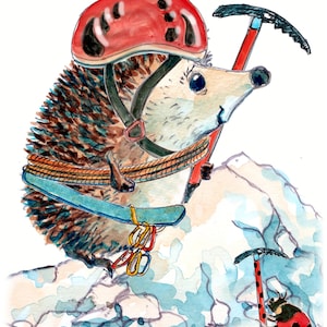 70 Biglietto di auguri per il compleanno di un alpinista. Buon compleanno In cima con la piccozza nella neve. Un riccio, ovviamente. Può essere personalizzato