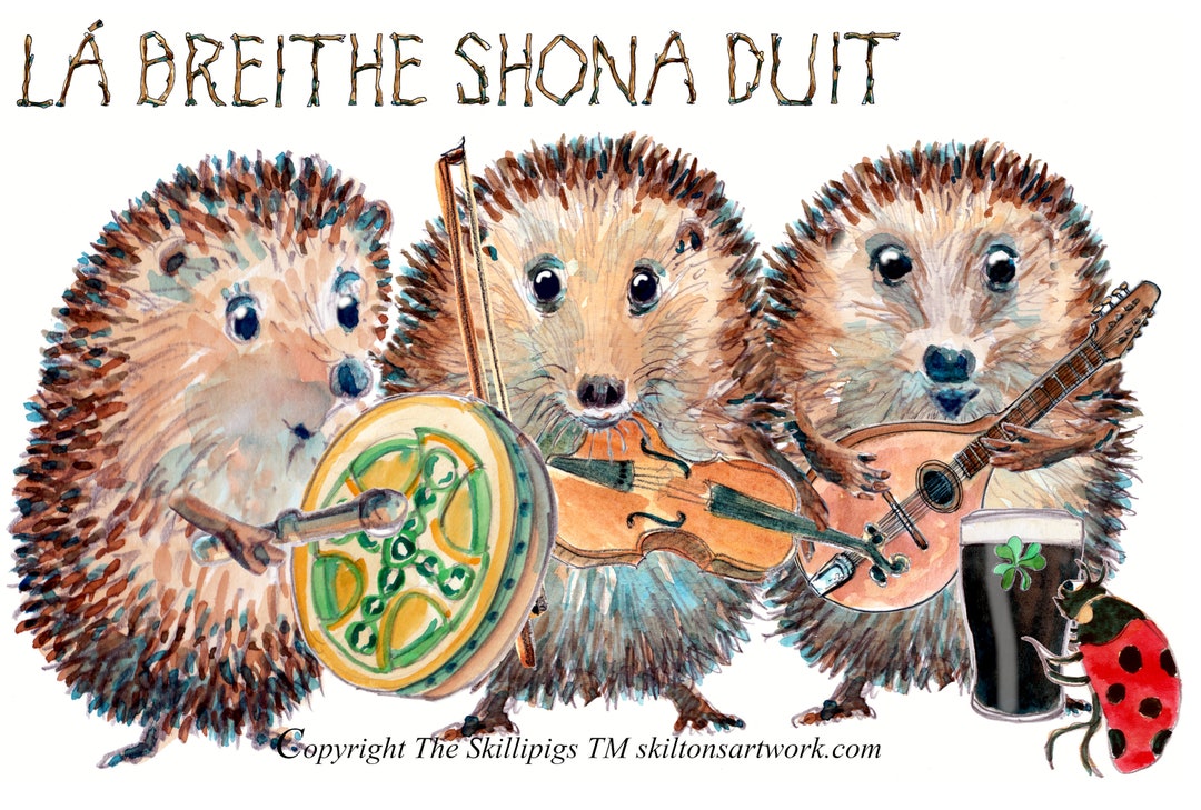 HAPPY BIRTHDAY Card Irish Gaelic Language La Breithe Shona Duit Folk Ceilidh Band Group Fiddle