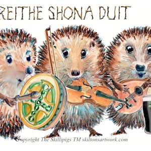 3574 Carte en langue irlandaise JOYEUX ANNIVERSAIRE Gaélique irlandais La Breithe Shona Duit Folk Ceilidh band group violon mandoline. Peut être personnalisé
