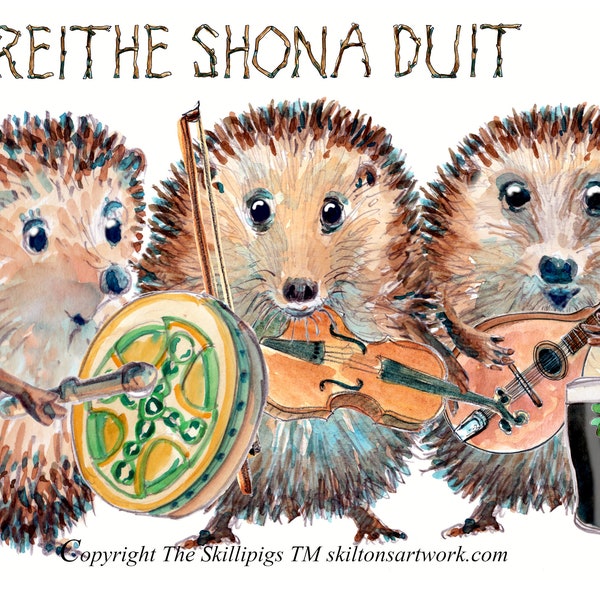 HAPPY BIRTHDAY card Irish Gaelic Language La Breithe Shona Duit Folk Ceilidh band group fiddle mandolin . Can be personalised. No. 3574