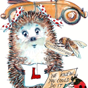 3254 WELL DONE-kaart, gefeliciteerd, nieuwe chauffeurskaart voor het behalen van het rijexamen met onze vrouwelijke leerling-auto egel. Kan worden gepersonaliseerd