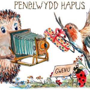 3237 Fotógrafo galês de cartão de FELIZ ANIVERSÁRIO Penblwydd hapus, ffotograffydd Cymreig.  na língua galesa com robin. Pode ser personalizado.