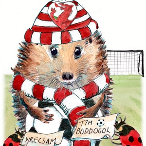 Penblwydd Hapus, Gallois, supporter de Wrexham, Cymraeg Joyeux anniversaire. Fan du club avec son écharpe Personnalisable N°4 WREXHAM