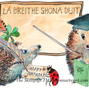 HAPPY BIRTHDAY Irish Gaelic  language lesson card. Gaeilge la breithe shona duit. Can be personalised. No.3688