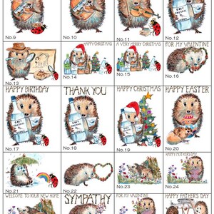 1, 2 en 3 SKILLIPIG-CATALOGUS van wenskaarten. Deze betaling is voor één kaart. Vermeld afbeeldingsnr. Kan worden gepersonaliseerd.