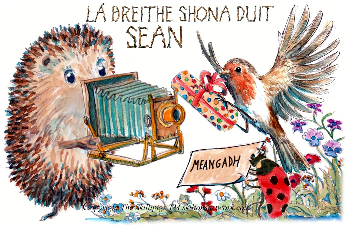 HAPPY BIRTHDAY Irish Gaelic Card, La Breithe Shona Duit Irish Language Photographer Garden Robin
