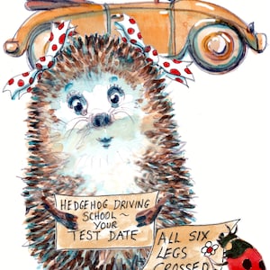SUCCES-rijexamenkaart, met onze egelleerling en haar auto en testdatum. Vingers gekruist. Kan worden gepersonaliseerd. Nr. 3253