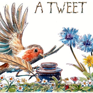 308 robin HELLO cott karte, EinTweet, formal bekannt als zwitschern. Flying Robin (rotes Rotkehlchen) Kann personalisiert werden