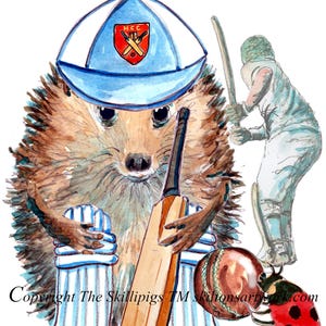 Biglietto d'auguri di compleanno per il cricket 4650. Riccio, giocatore di squadra di battitori, con protezioni per mazze e palla. Personalizzabile o con un nuovo biglietto d'auguri.