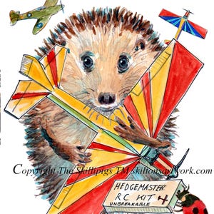 Maquette d'avion 4261 Carte d'anniversaire pour passionné d'avions télécommandés, avion radiocommandé et kit. Peut être personnalisé