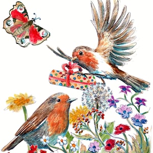 2498 Cartes de joyeux anniversaire Robins avec une paire de rouges-gorges, l'un avec un cadeau pour l'autre. Fleurs d'été, papillon.  Peut être personnalisé