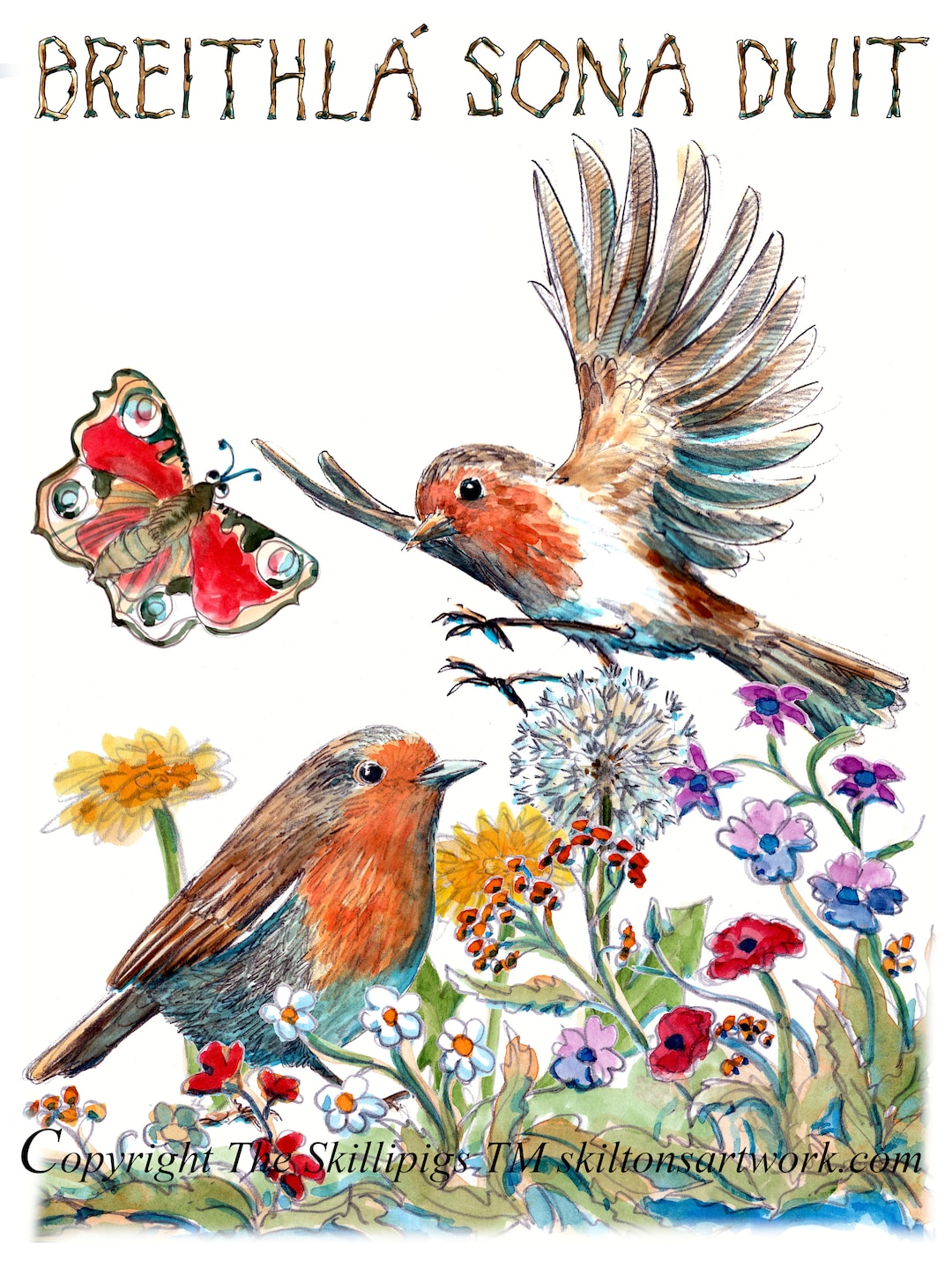 HAPPY BIRTHDAY Irish Gaelic Language Card Breithla Sona Duit. Two