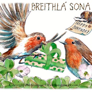 3550 Cartão de FELIZ ANIVERSÁRIO Breithla sona duit, gaélico irlandês e inglês. Robin presenteando outra pessoa com um trevo de abelha. Pode ser personalizado.