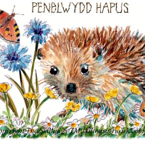 33954 Welshe kaart PENBLWYDD HAPUS Baby egel, hoglet, verjaardagskaart. Zomeregel met bloemen. Kan worden gepersonaliseerd.