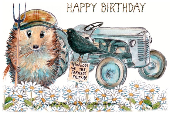 Biglietto Di Compleanno Con Animali Divertenti Illustrazione Vettoriale - Illustrazione di pompelmo, giraffa: 86576742