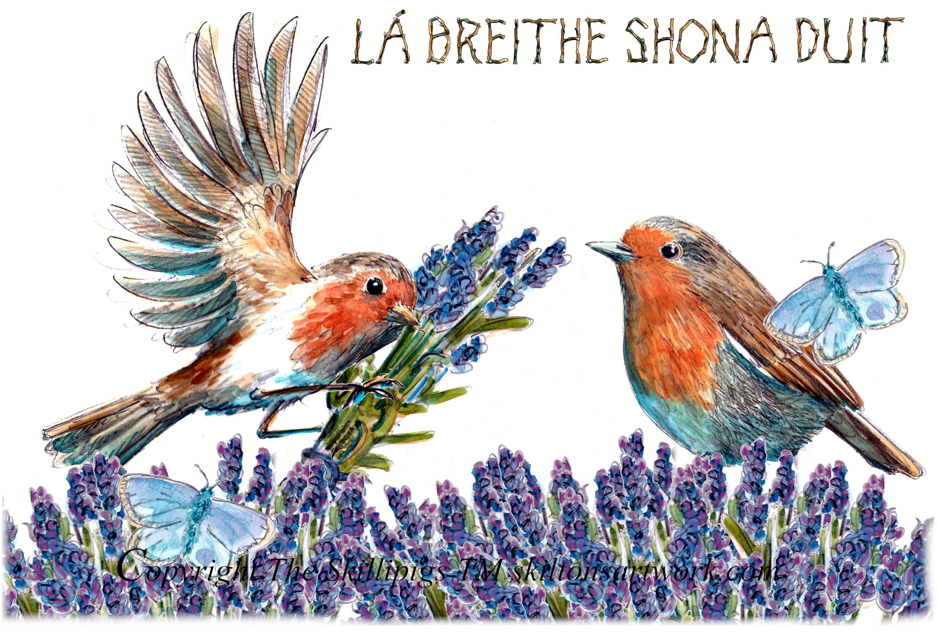 HAPPY BIRTHDAY Irish Gaelic Gaeilge Na Heireann Greeting Card Robins