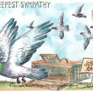 3283 Carte SYMPATHY pour les courses de pigeons Avec une carte de condoléances « Je viens de prendre l'avion ». Courses d'oiseaux voyageurs et panier de transport.