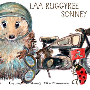 Cartão de aniversário de motociclista. Laa Ruggyree Sonney Dhyt, Feliz aniversário em gaélico manês. Nosso ouriço motociclista. Pode ser personalizado. Nº 1 da IOM