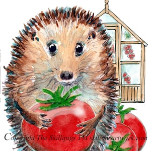 4106 Tarjeta de cumpleaños para un cultivador de tomates. Un erizo entusiasta de la horticultura con sus tomates premiados y su invernadero. Personalizable.