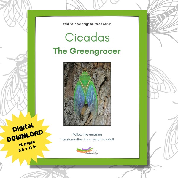 A Greengrocer cicada nymph emerges! Stunning colour photographs of each stage with accompanying cicada facts. Resource links, 12 page book.