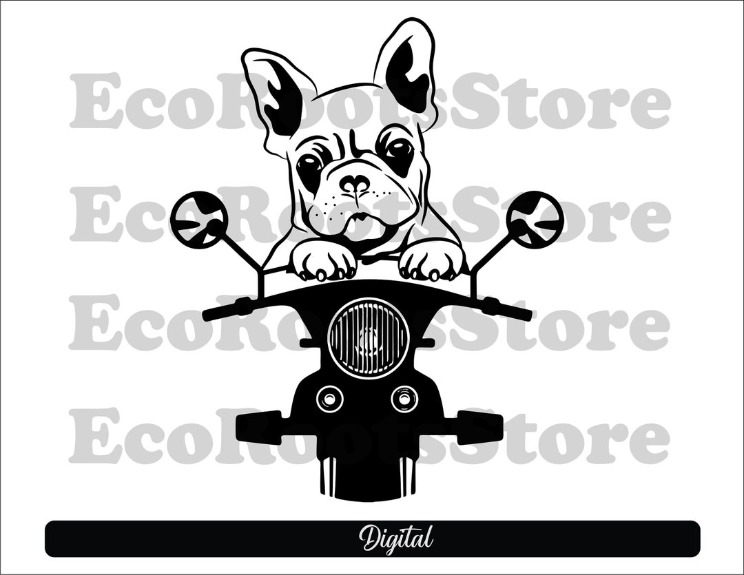 FRENCH BULLDOG Motorcycle SVG Png Cut File Silhouette Digital Etsy