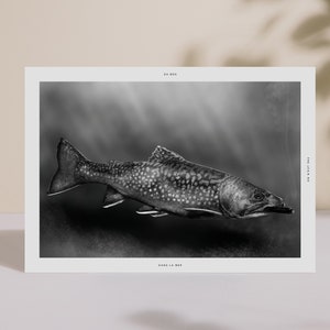 Forellenfisch-Poster