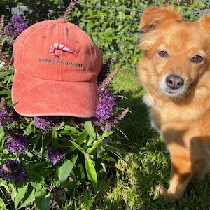 May include: A coral-colored baseball cap with the embroidered phrase "KEEP IT SHRIMPLE" and a shrimp graphic. The cap is set against a backdrop of purple flowers and green foliage, with a golden-brown dog in the background.
