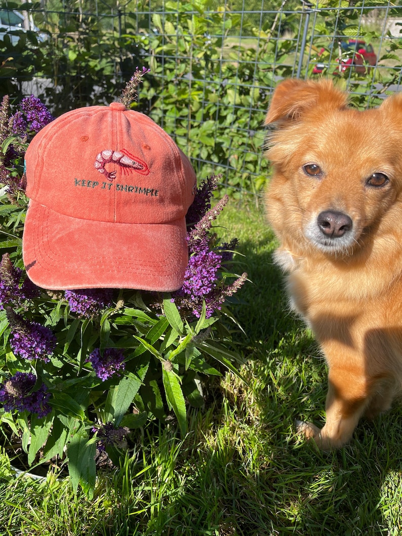 May include: A coral-colored baseball cap with the embroidered phrase "KEEP IT SHRIMPLE" and a shrimp graphic. The cap is set against a backdrop of purple flowers and green foliage, with a golden-brown dog in the background.