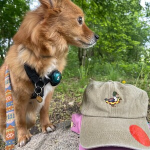 May include: A tan baseball cap with a duck graphic on top of a pink and blue baseball cap. A small, brown dog with a black harness and leash is in the background.