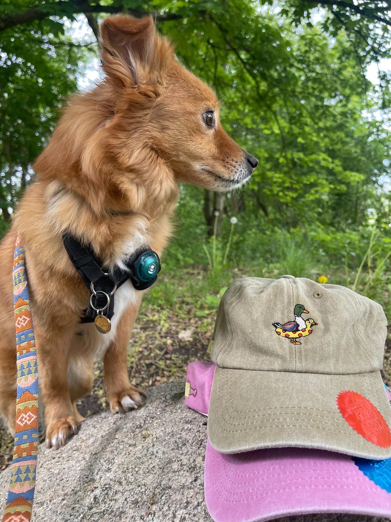May include: A tan baseball cap with a duck graphic on top of a pink and blue baseball cap. A small, brown dog with a black harness and leash is in the background.