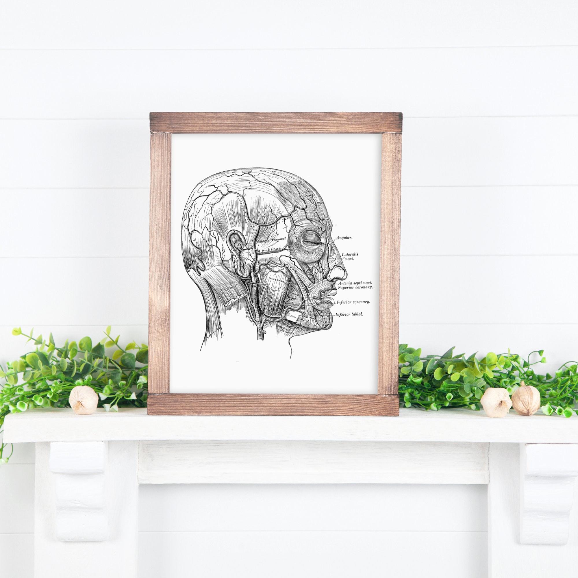 ANATOMY WALL ART, Digital Printable Minimalist Art Anatomy and ...