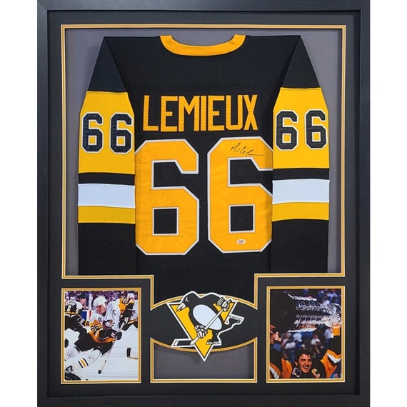 Autographed penguins jersey online