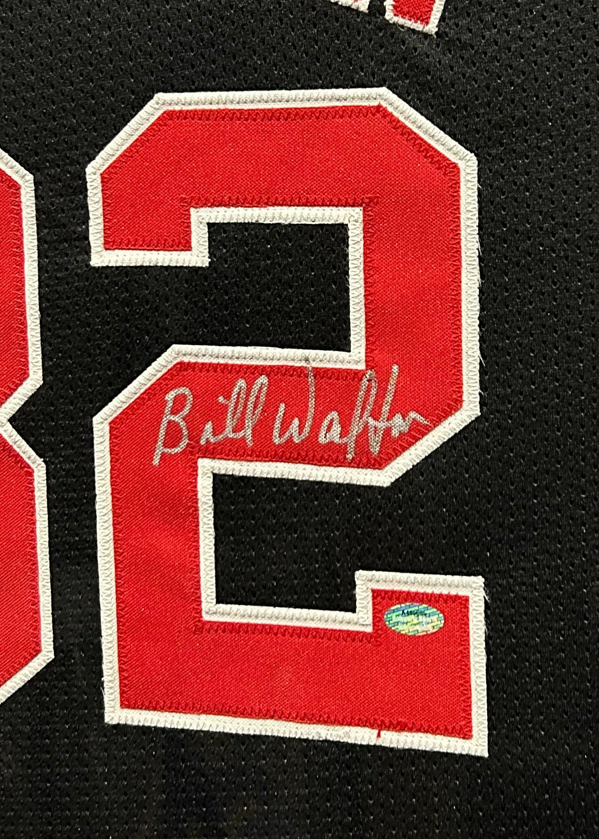 Bill Walton Framed Signed Jersey Schwartz Autographed Portland Trailbl