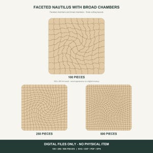 Faceted Nautilus Jigsaw Templates - 100, 250, 500 Pieces, SVG DXF PDF Eps Bundle
