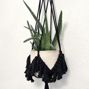 May include: A black macrame plant hanger with a white ceramic pot and a green succulent plant. The hanger has a fringe trim.
