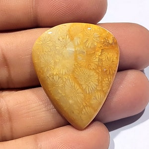 Natural Fossil Coral Cabochon: Handmade Gemstone Pendant (36x29x5 MM)