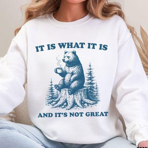 Mental Health Shirt Funny Anxiety T Shirt Sarcastic Cartoon Animal, It Is What It Is and Its Not Great, Self Care Sweatshirt Gift Women Men