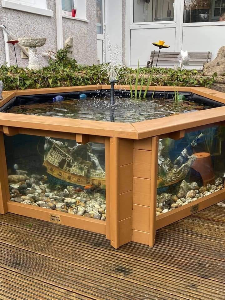 Lily Clear View Garden Aquarium Elevated Garden Fish Pond With Etsy Uk