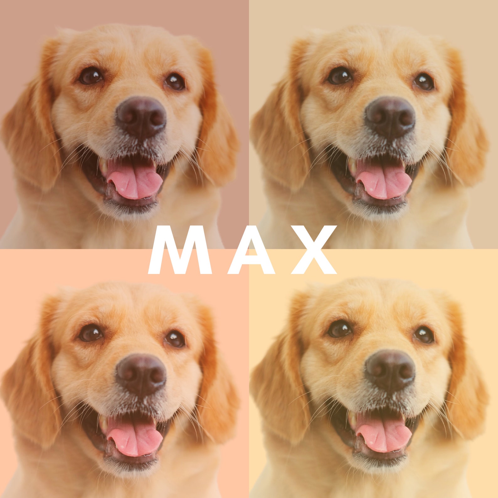 Pet Portrait Custom and Personalized. Pet Dog Wall Art for Anniversary ...