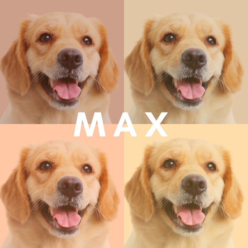 Pet Portrait Custom and Personalized. Pet Dog Wall Art for Anniversary ...