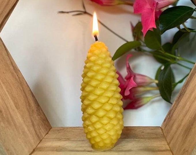 Fir cone